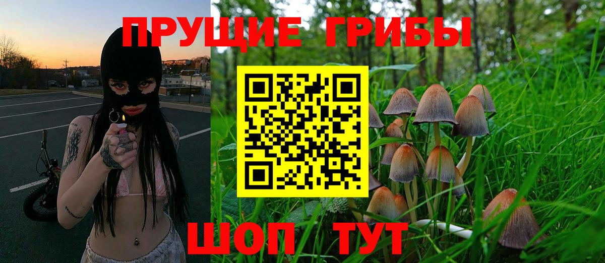 Артёмовский  продажа наркотиков  Вход с VPN  Галлюциногенные грибы прущие грибы  Псилоцибиновые грибы GOLDEN TEACHER 